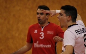 Martigues / Halluin. Les Sang et Or  Vainqueurs sans jouer.............