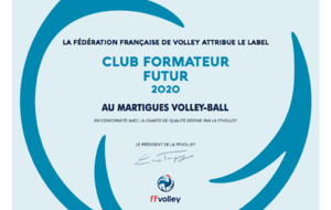 Martigues récompensé par la FFVolley
