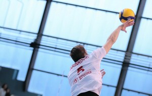 Ligue B : Luka Marinkovic absent contre Mende 