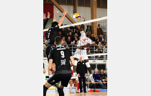 Royan 3/1 MVB : pas assez réguliers pour battre les Pirates